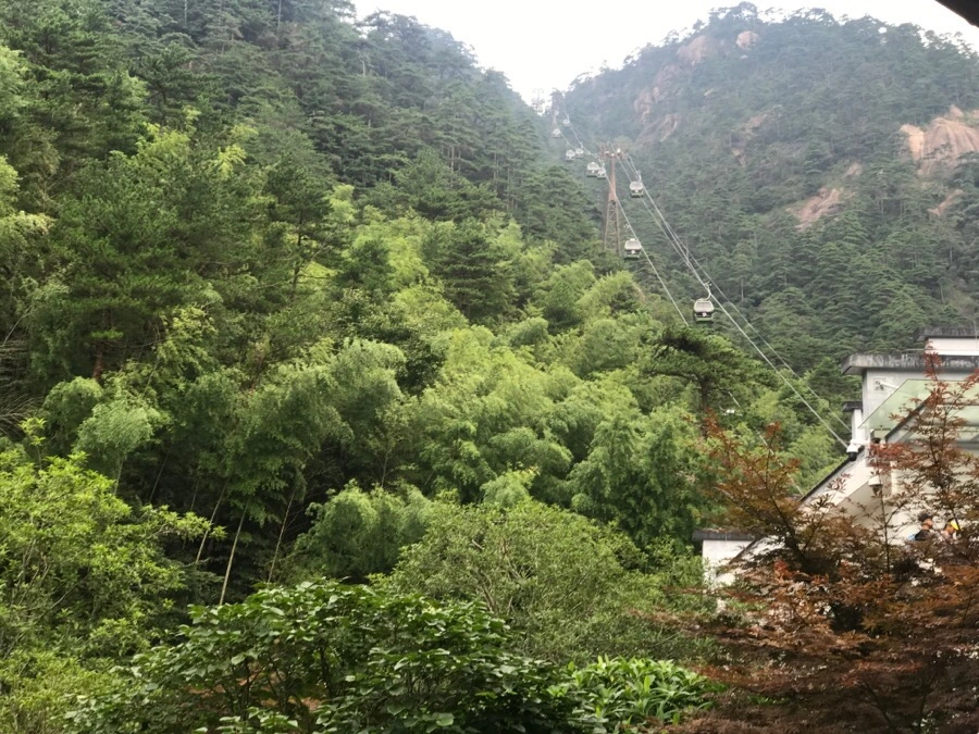 IMG_0694.jpg?type=w966