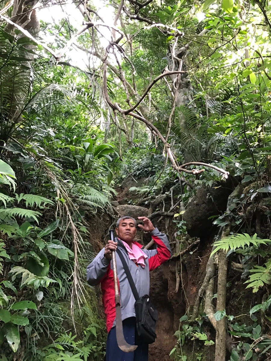 IMG_3638.jpg?type=w966