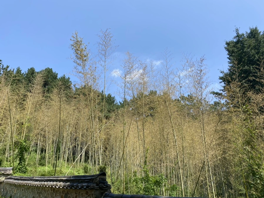 IMG_1527.jpg?type=w1