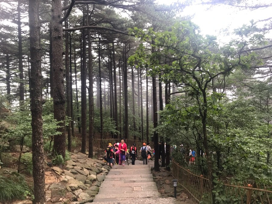 IMG_0779.jpg?type=w966