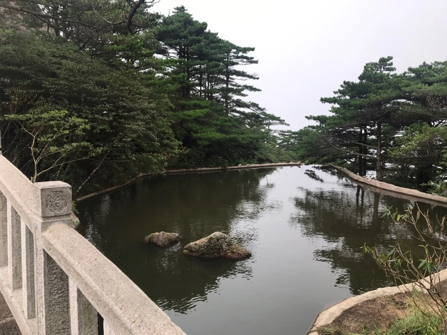 IMG_0805.jpg?type=w966