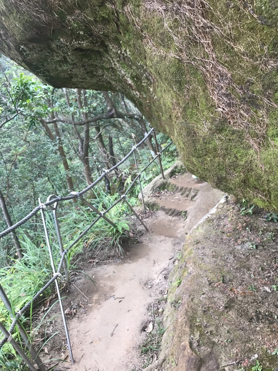 IMG_1062.jpg?type=w966