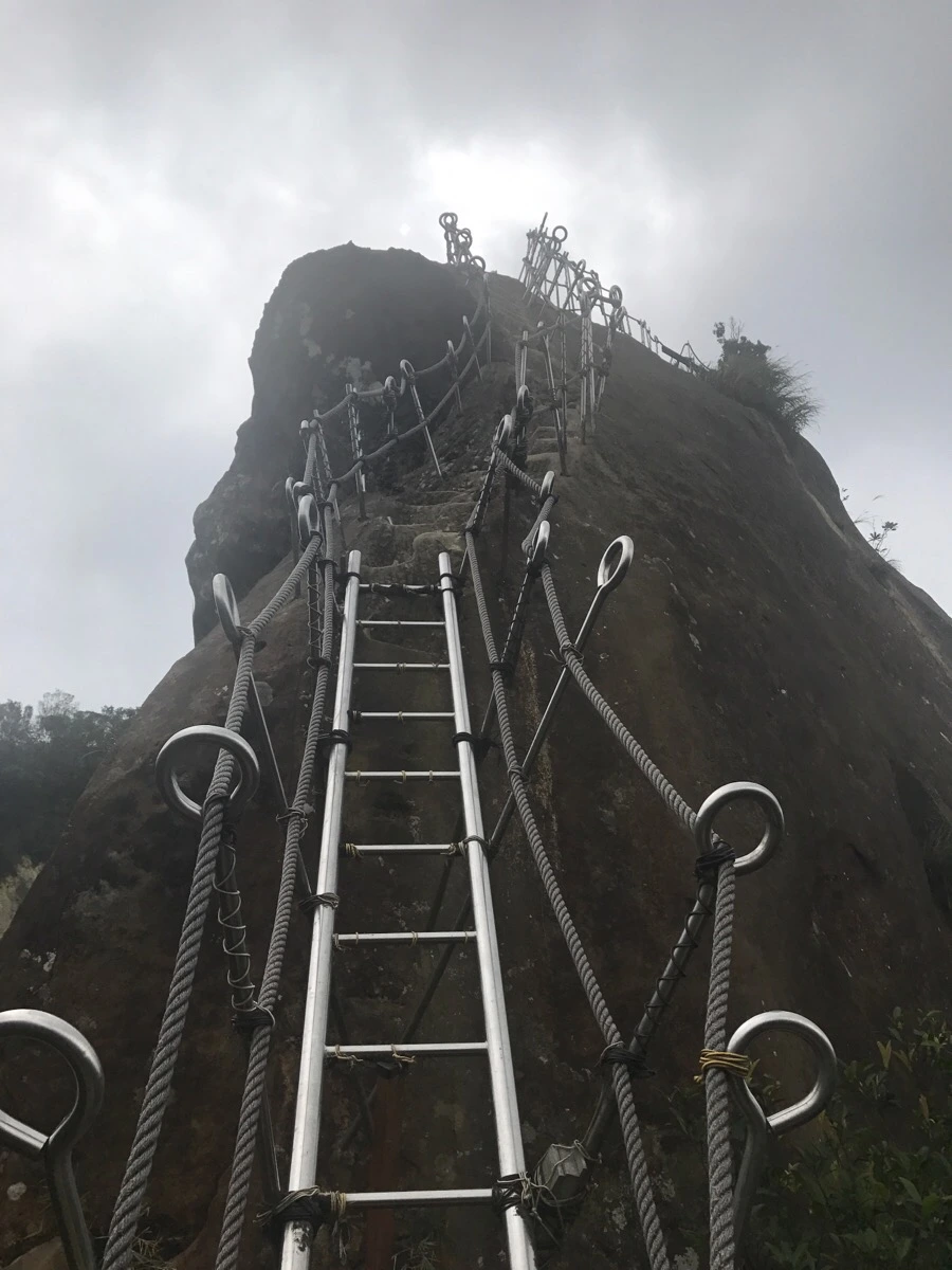 IMG_0994.jpg?type=w966