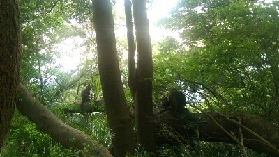 IMAG6009.jpg?type=w773