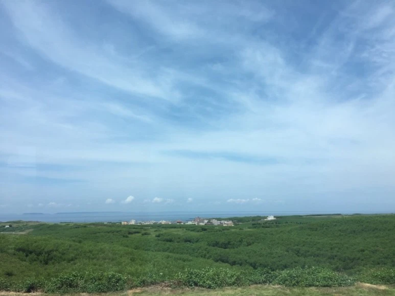 attachImage_4152373511.jpeg?type=w773