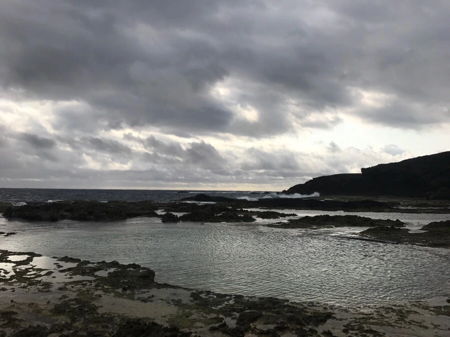 IMG_1561.jpg?type=w966