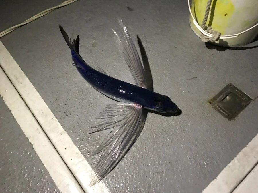 IMG_3820.jpg?type=w966