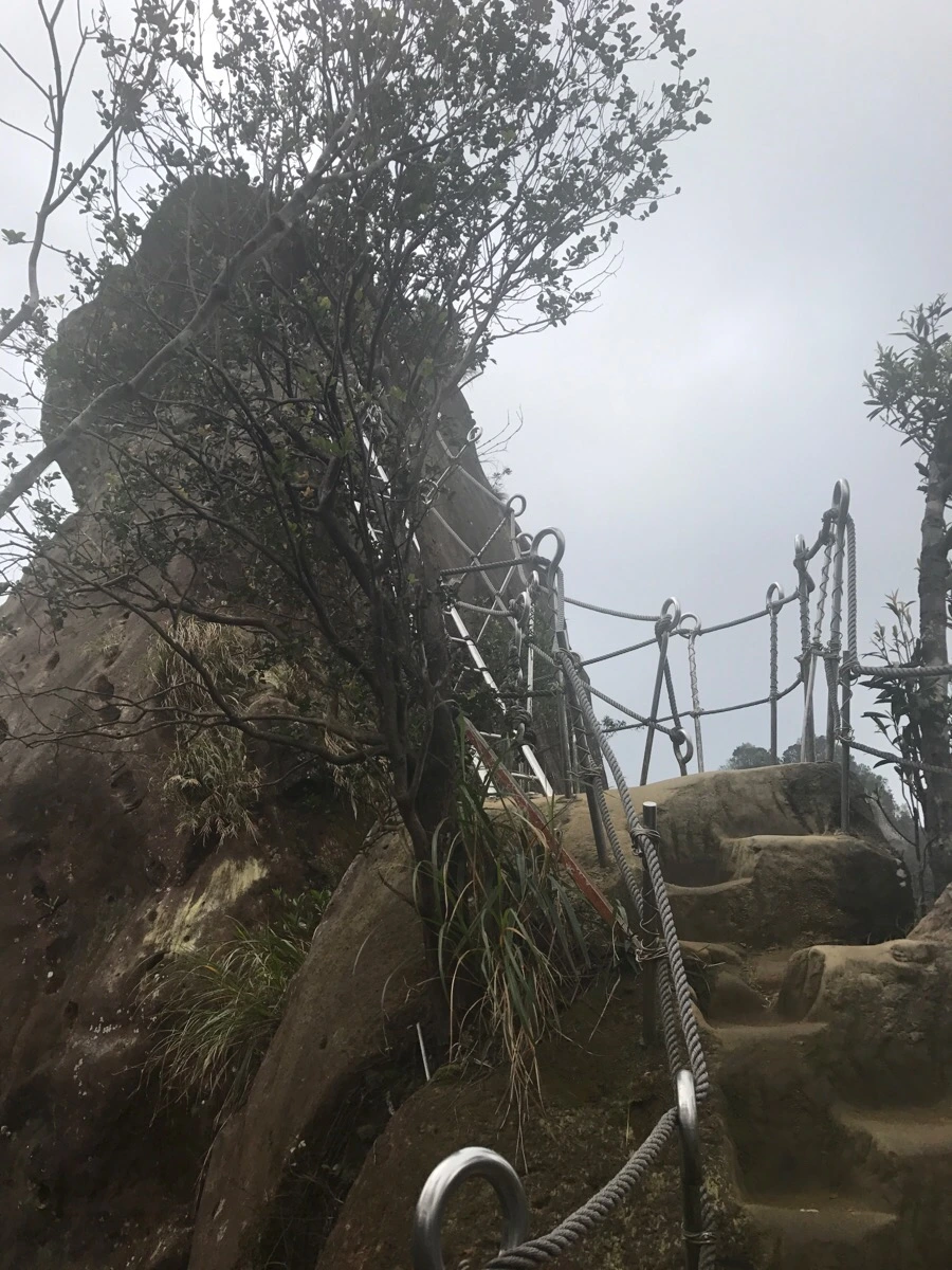 IMG_0993.jpg?type=w966