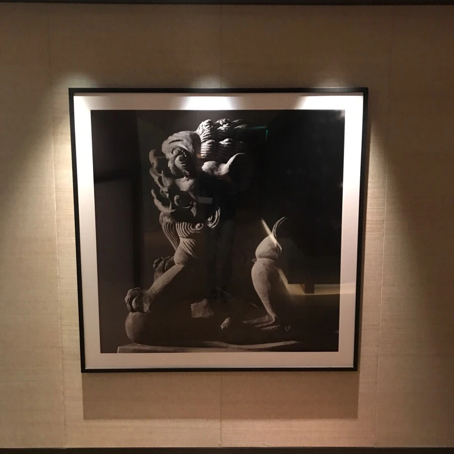 IMG_5385.jpg?type=w966