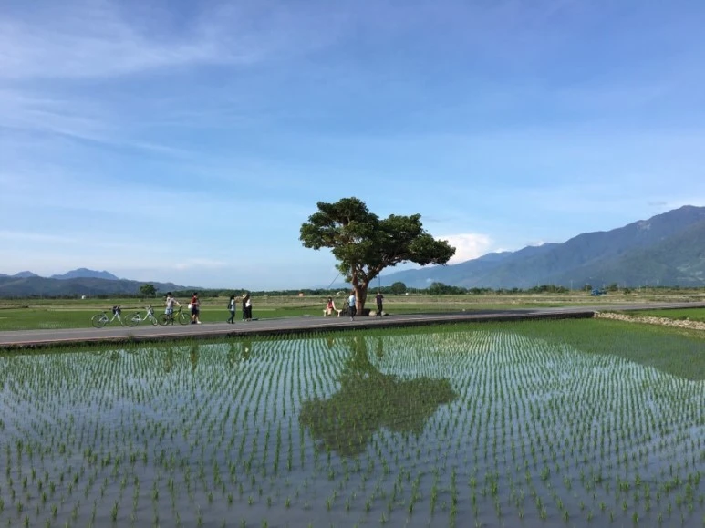 attachImage_4239639716.jpeg?type=w773