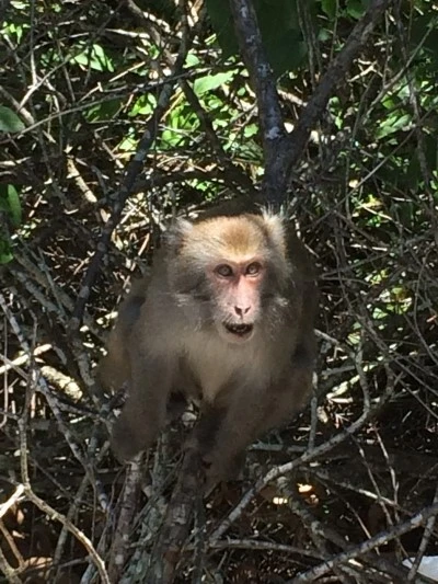 IMG_6239.JPG?type=w2