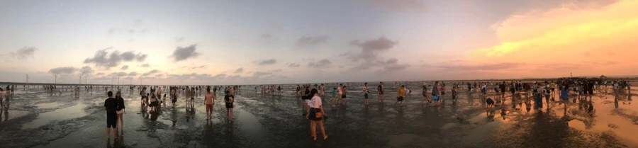 IMG_3337.jpg?type=w966