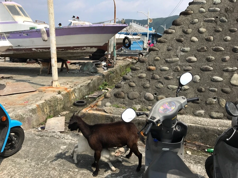 IMG_3375.jpg?type=w966