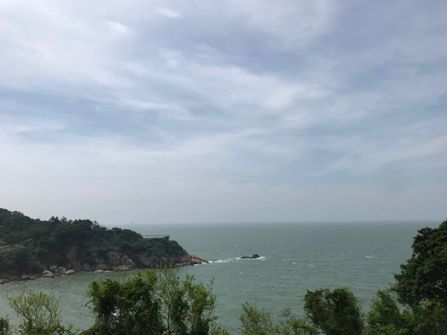 IMG_8356.jpg?type=w966