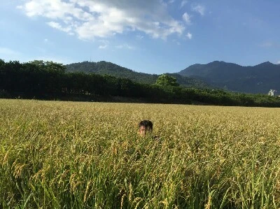 1468665829716.jpg?type=w773