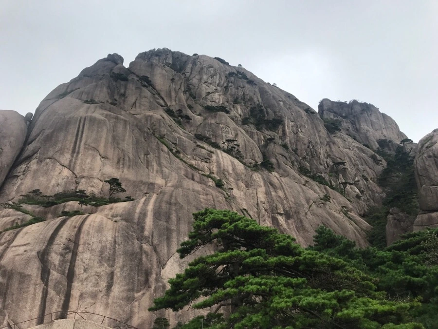 IMG_0865.jpg?type=w966