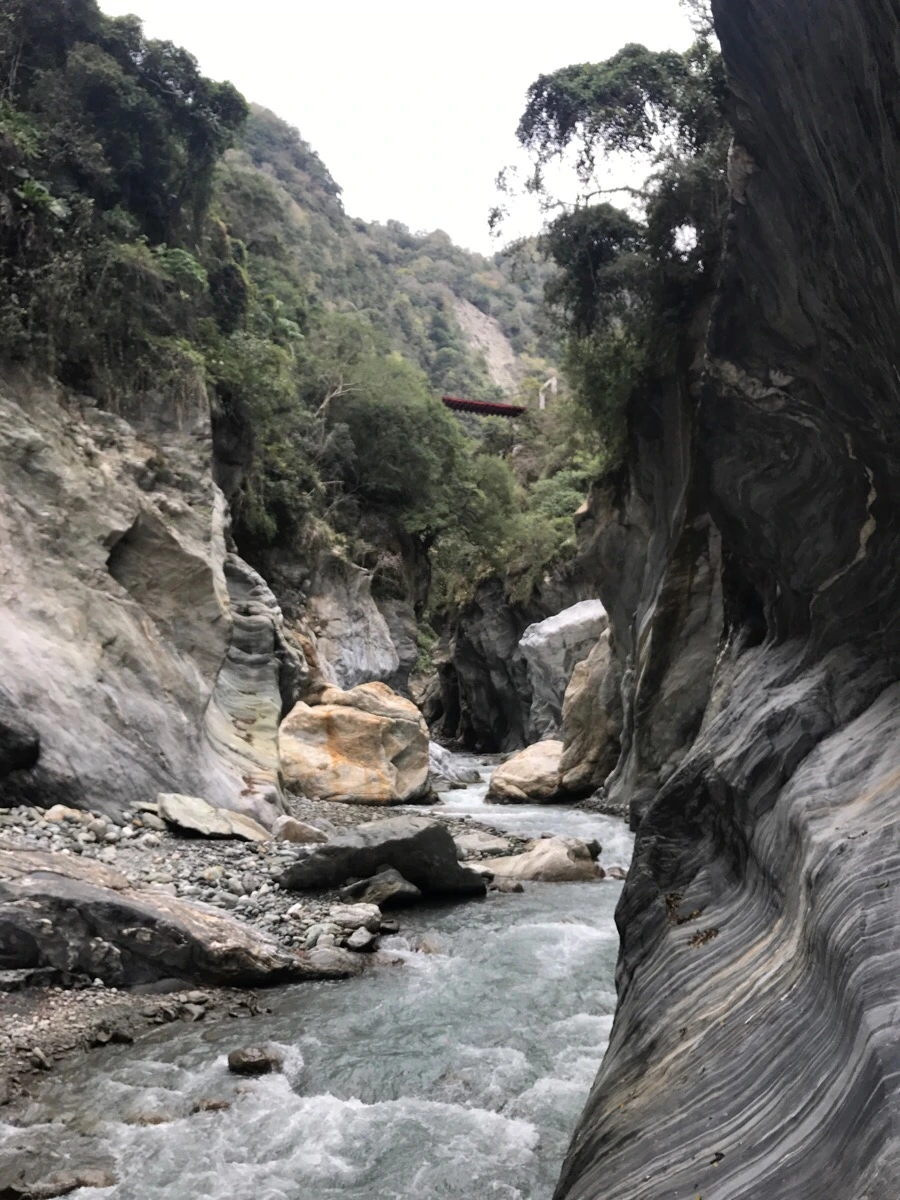 IMG_2098.jpg?type=w966