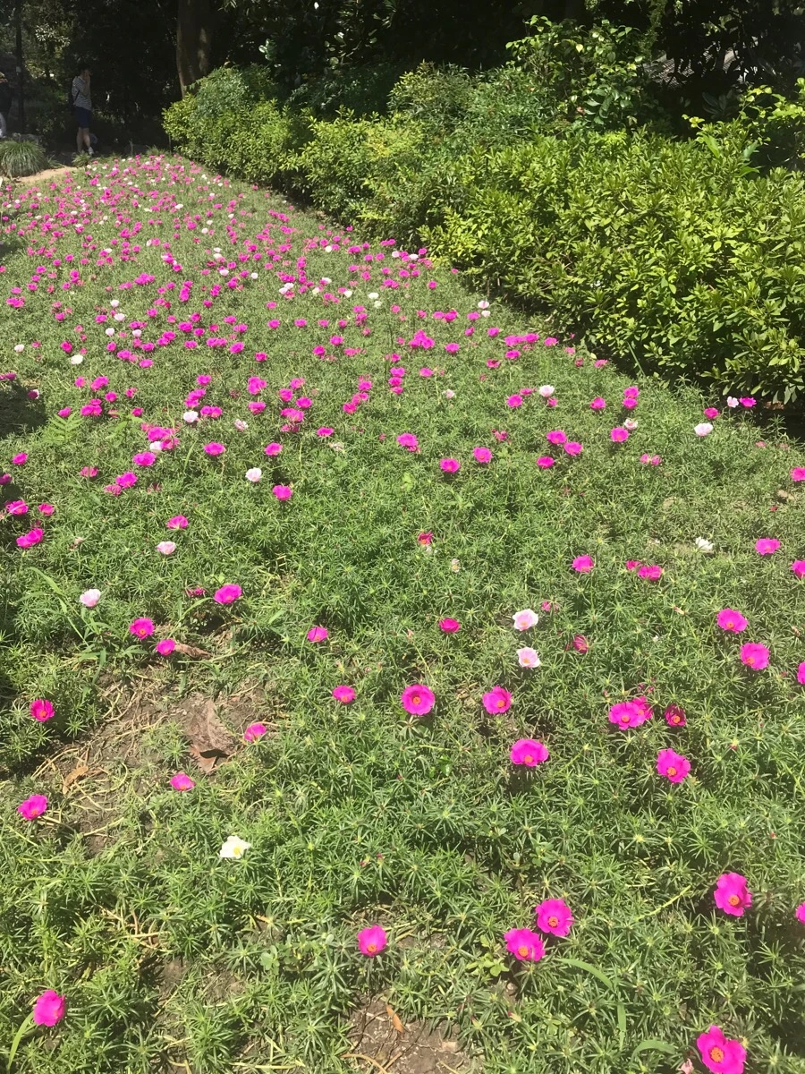 IMG_1184.jpg?type=w1