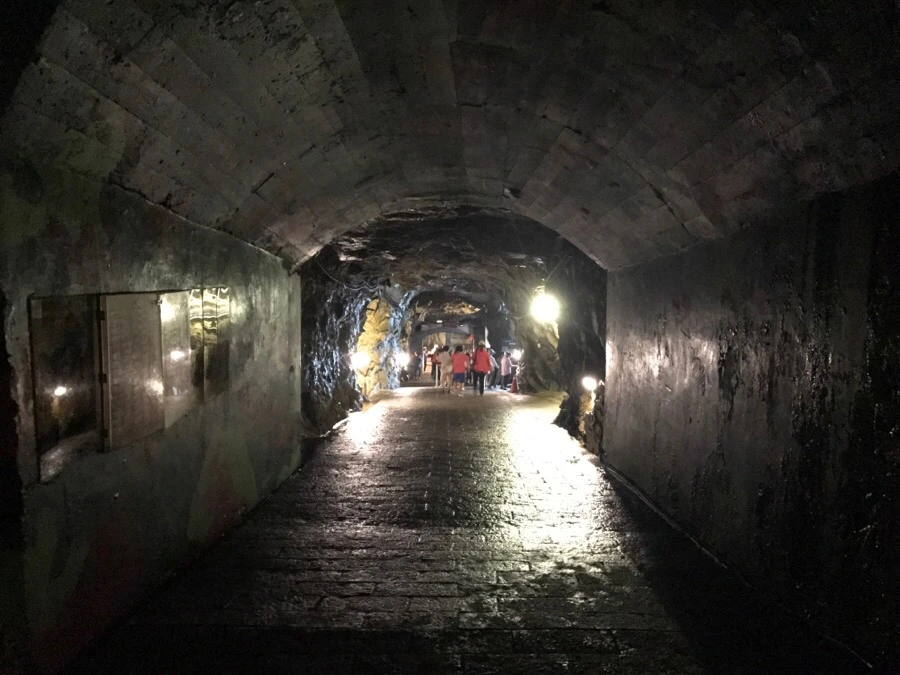 IMG_8323.jpg?type=w966