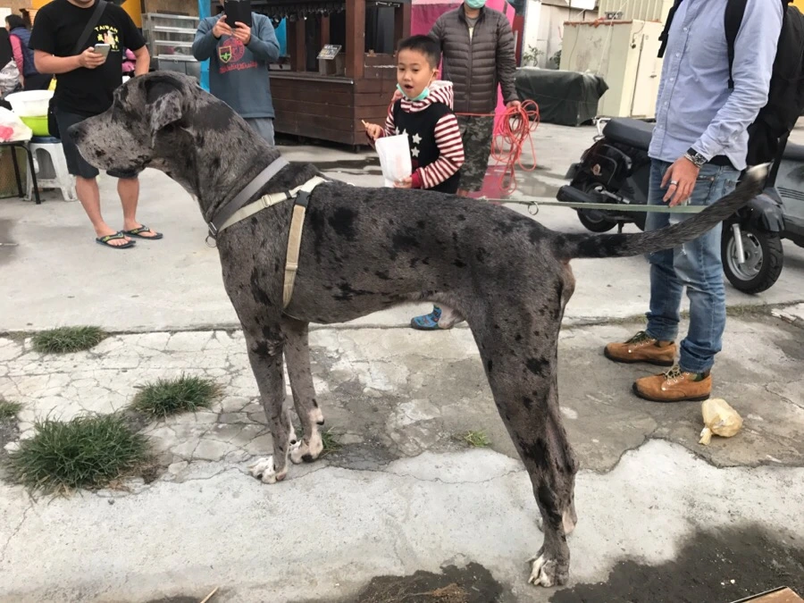 IMG_3301.jpg?type=w966