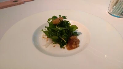 IMAG6293.jpg?type=w773