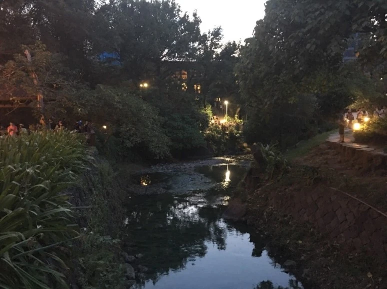 attachImage_746519524.jpeg?type=w773