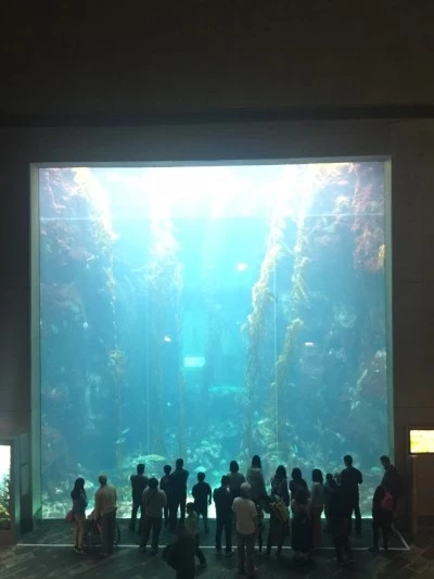 2016.2.8_Tainan_1863.jpg?type=w2