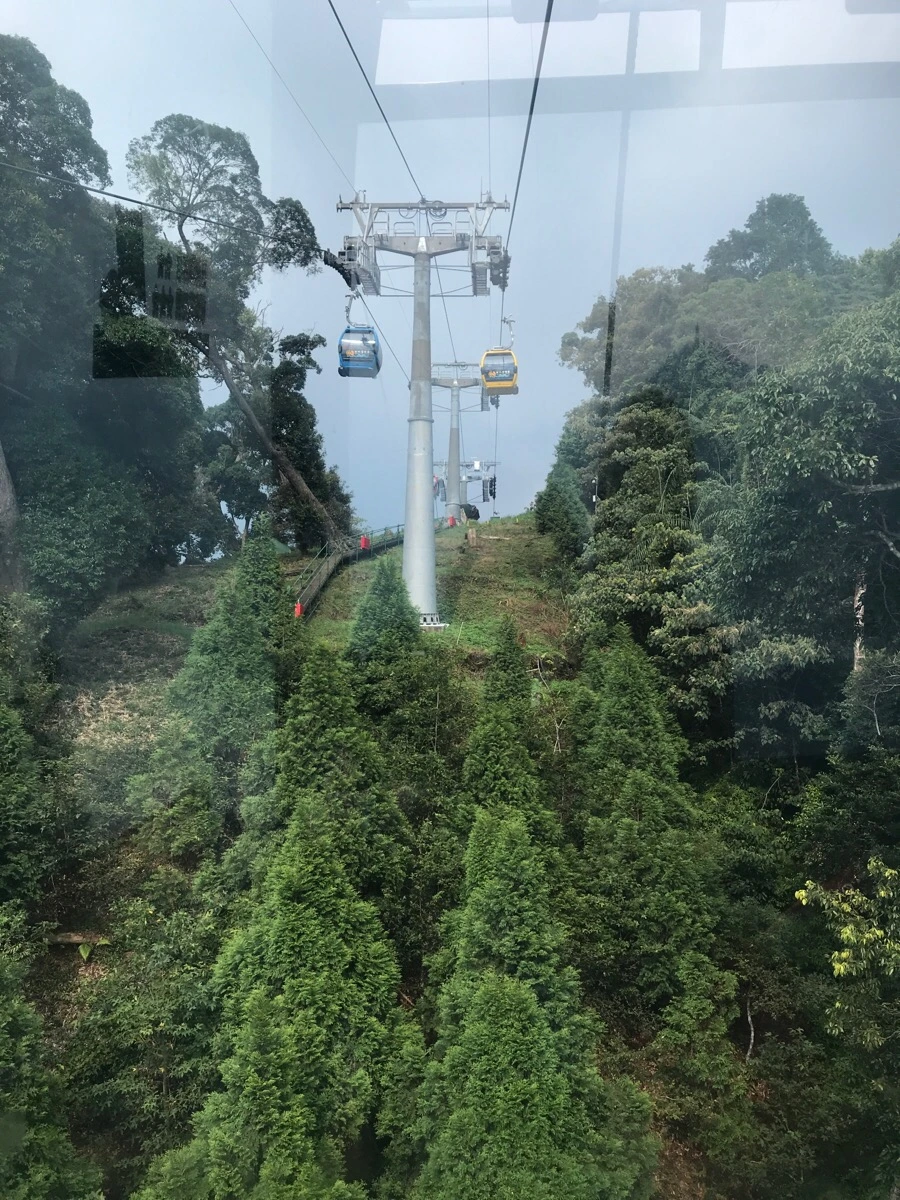 IMG_2990.jpg?type=w966