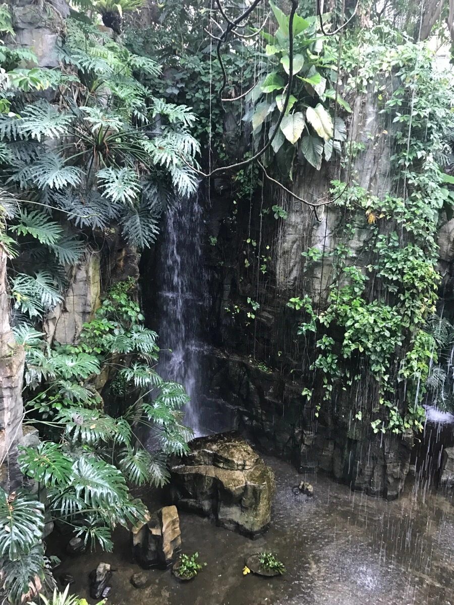 IMG_0392.jpg?type=w966