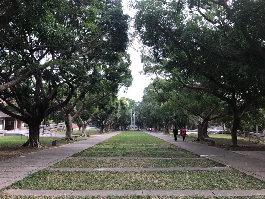 IMG_9947.jpg?type=w966