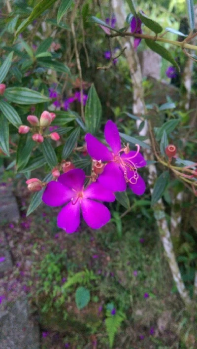 IMAG4848.jpg?type=w773