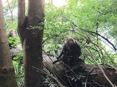 1467080204672.jpg?type=w773