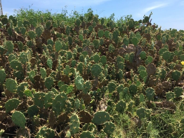 attachImage_1658249057.jpeg?type=w773