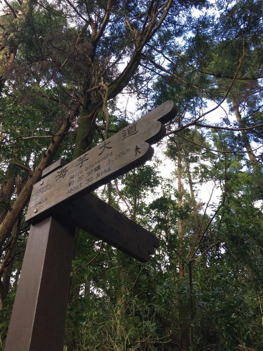 IMG_5353.JPG?type=w966