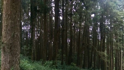 IMAG4952.jpg?type=w773