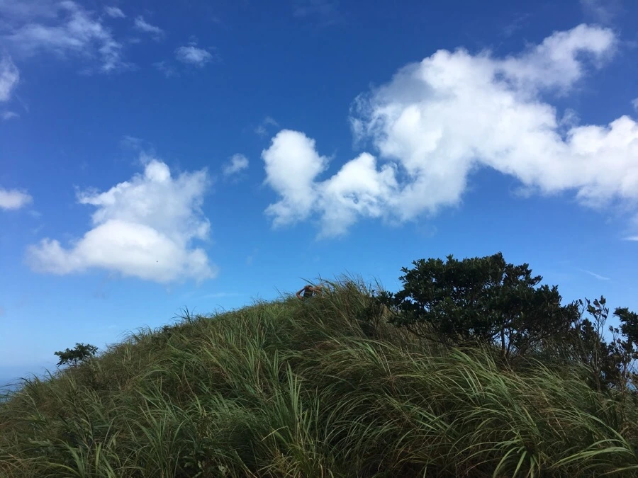 IMG_5025.JPG?type=w1