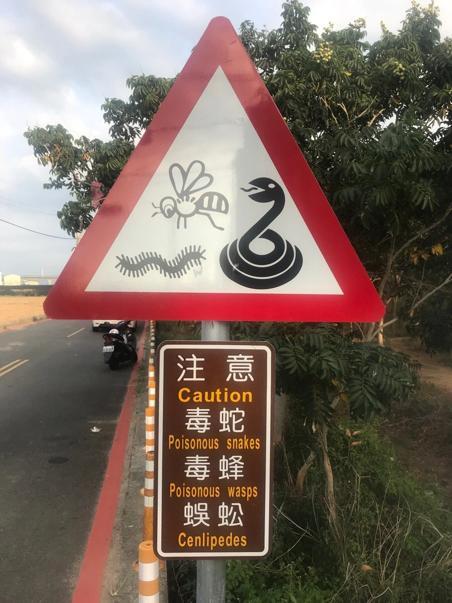 IMG_3295.jpg?type=w966