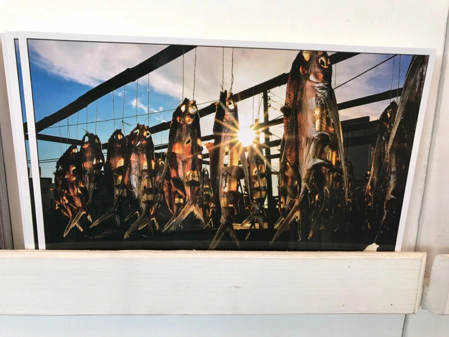 IMG_3737.jpg?type=w966