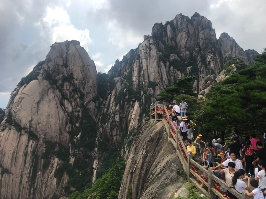 IMG_0926.jpg?type=w966