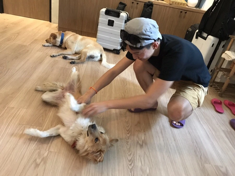 IMG_8331.jpg?type=w966