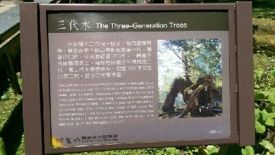 IMAG4898.jpg?type=w773