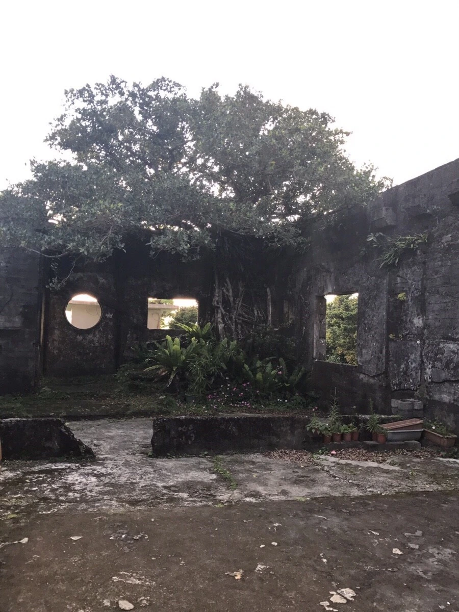 IMG_4022.jpg?type=w966