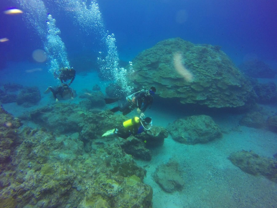 IMG_3580.jpg?type=w966