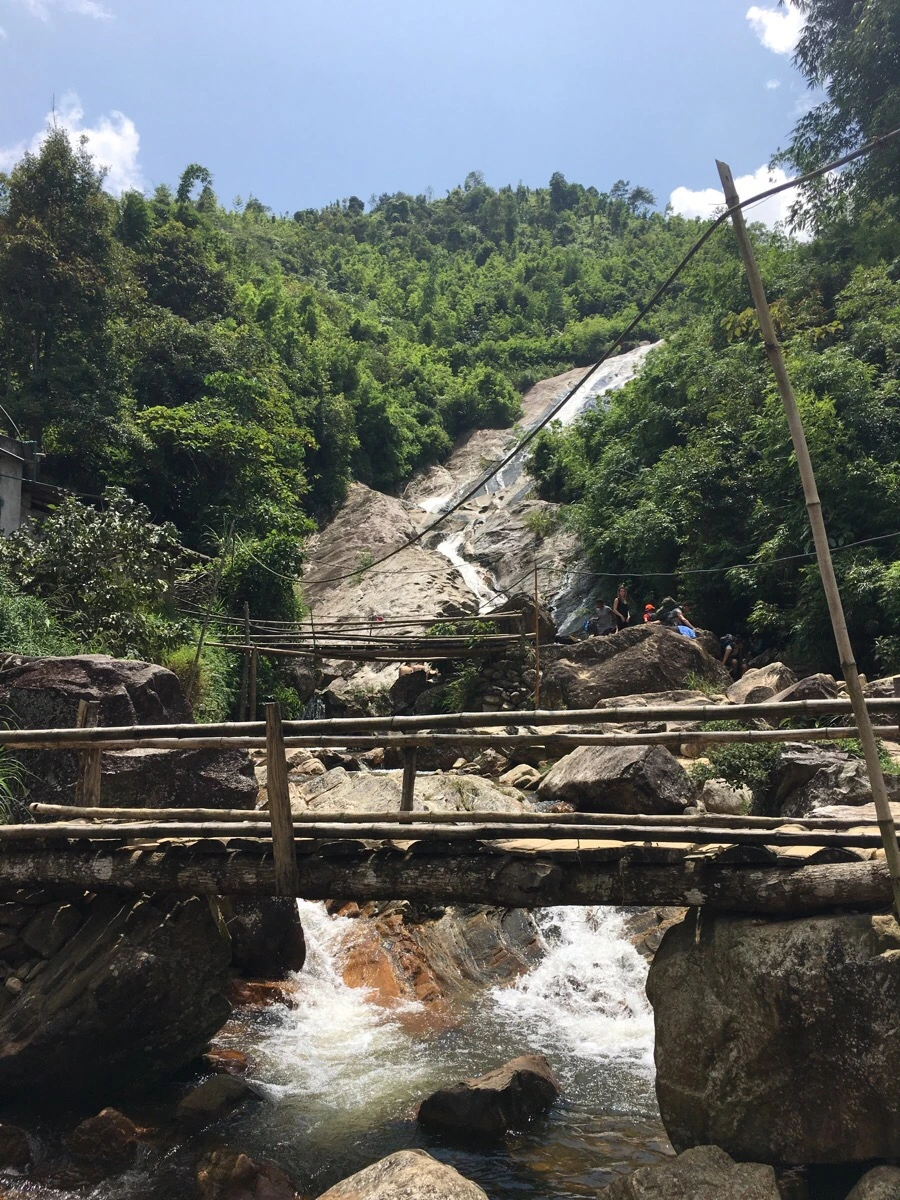 IMG_3579.JPG?type=w1