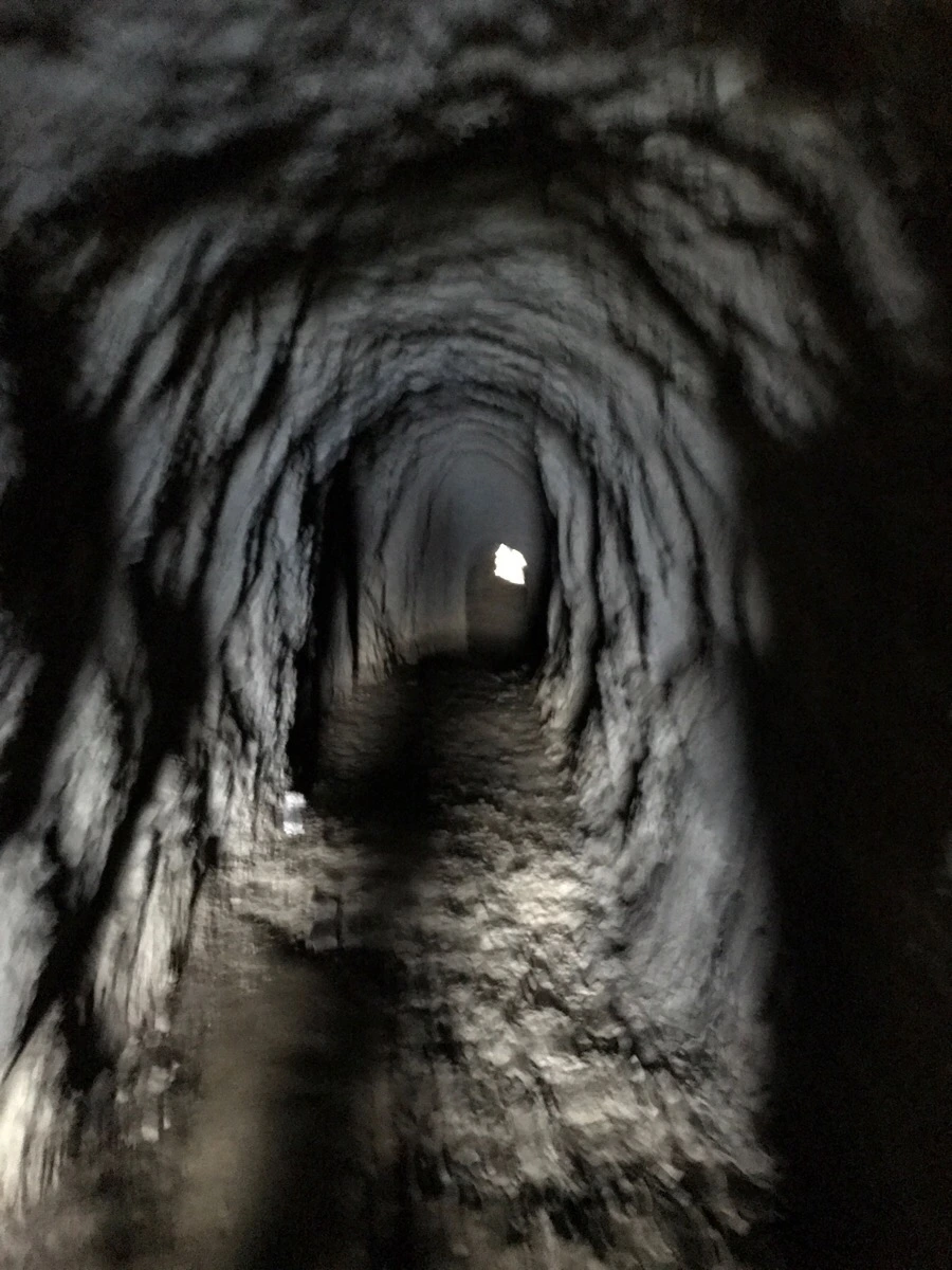 IMG_3776.jpg?type=w966