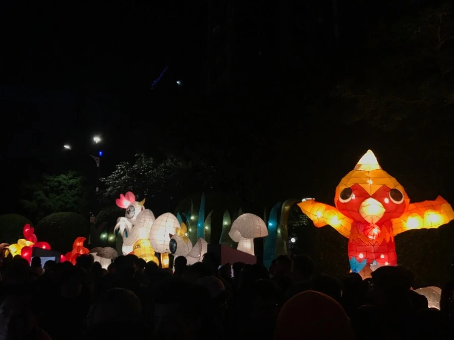 IMG_0806.jpg?type=w966