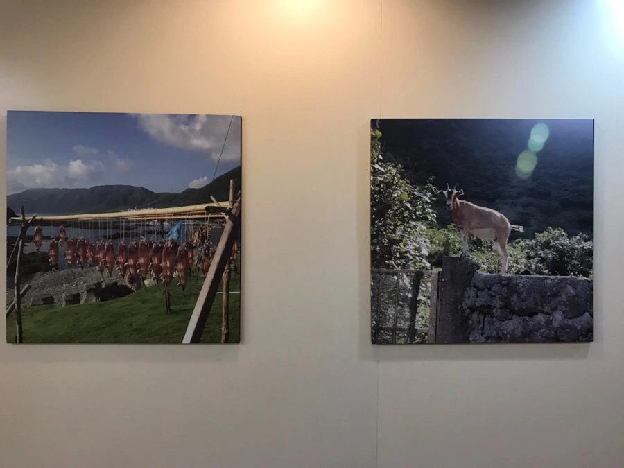 IMG_3507.jpg?type=w966