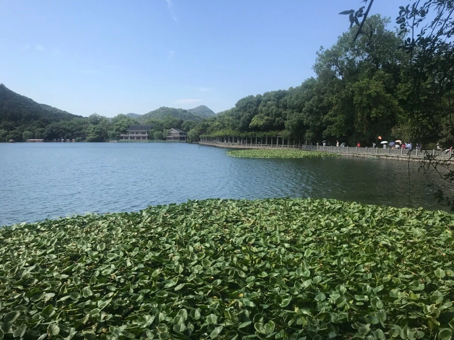 IMG_1201.jpg?type=w1