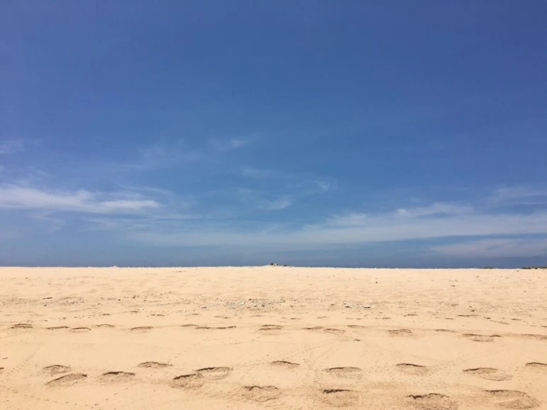 attachImage_4104824543.jpeg?type=w773