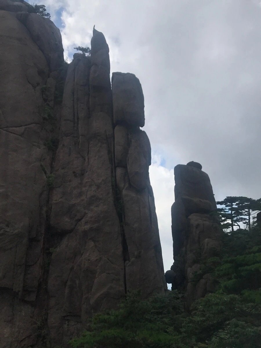 IMG_0882.jpg?type=w966